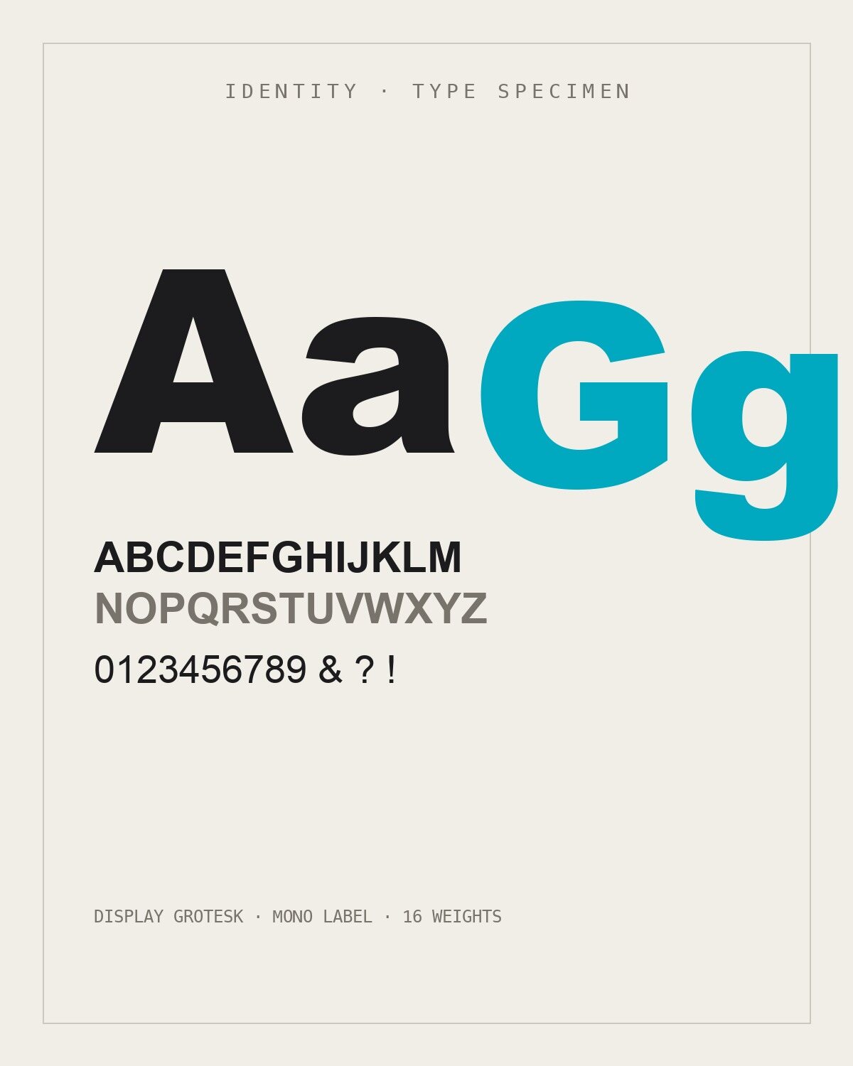 Type specimen