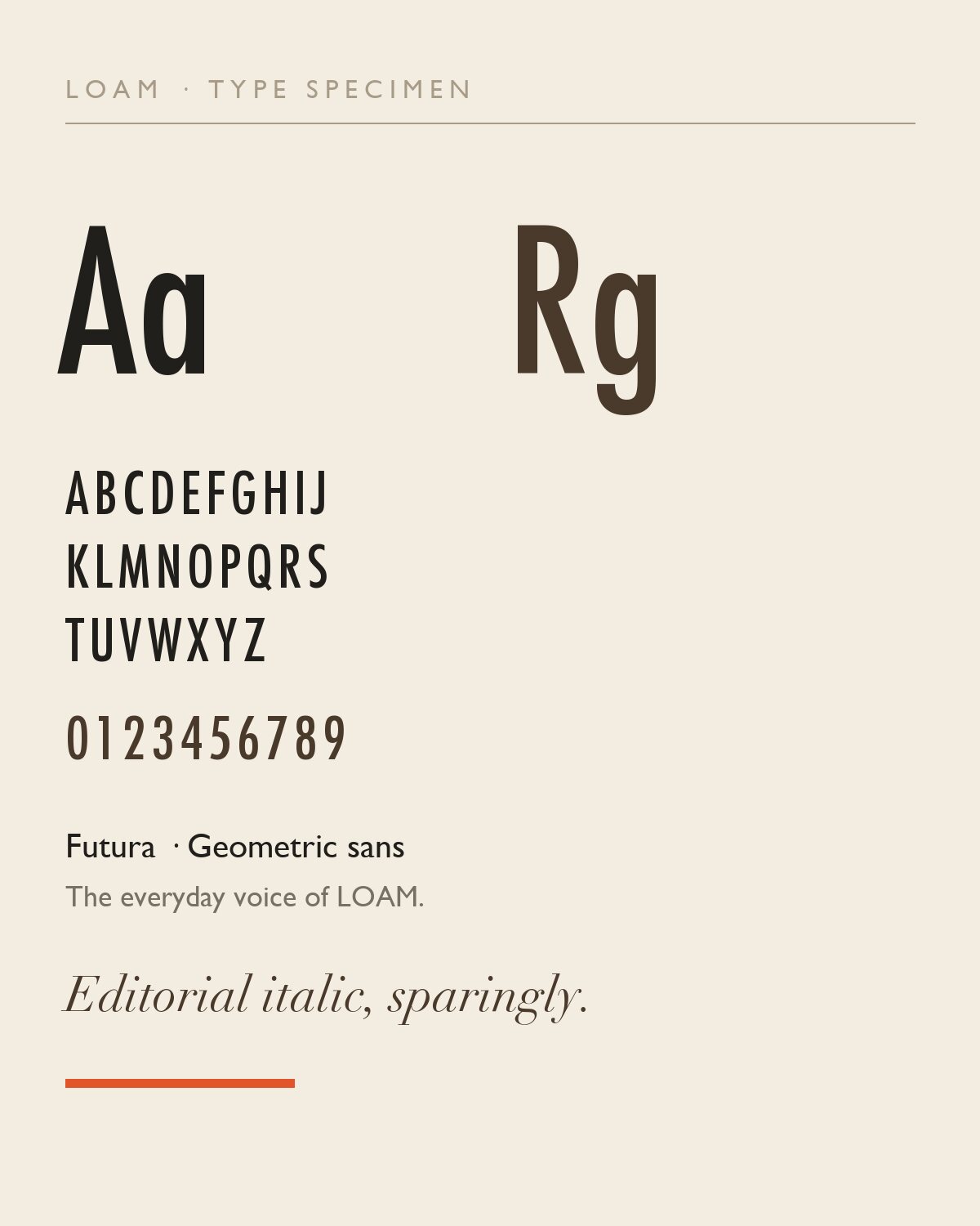 LOAM type specimen