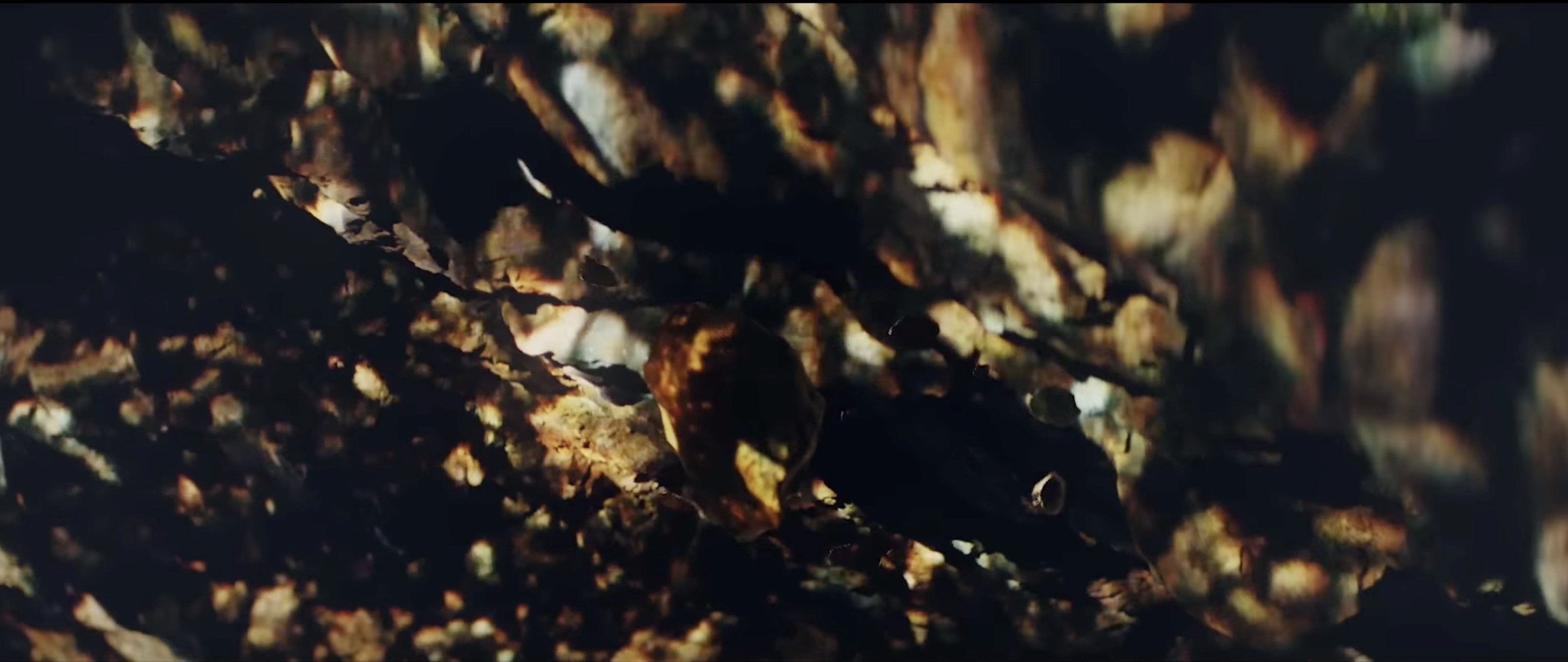 Zedd · One Strange Rock, Sequences 7